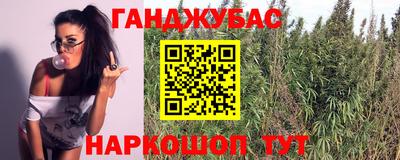 сатива Дубна