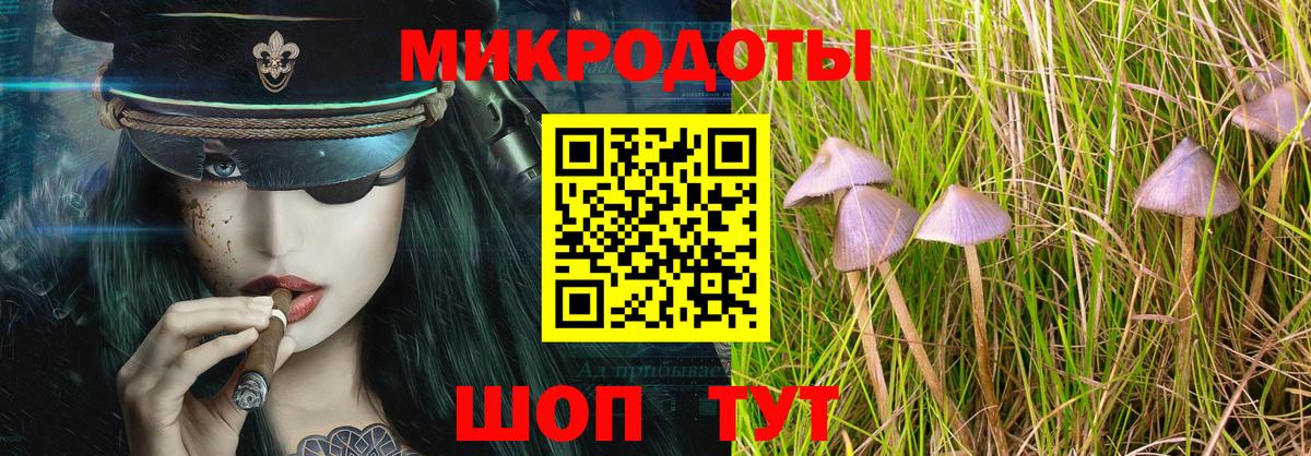 Галлюциногенные грибы Psilocybe  Псилоцибиновые грибы ЛСД  Кудрово  Вход с VPN 